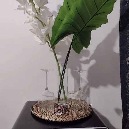 Vatican Luxury Pensión